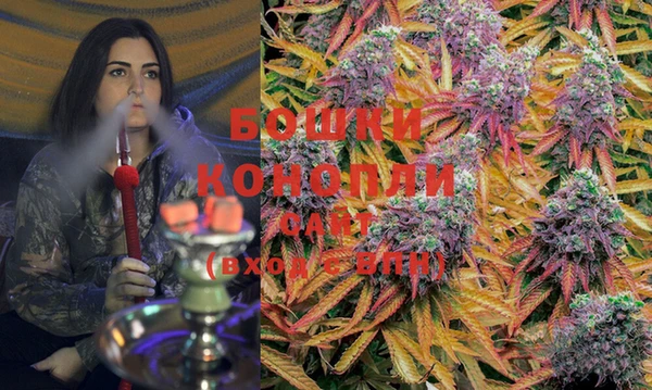 PSILOCYBIN Усинск