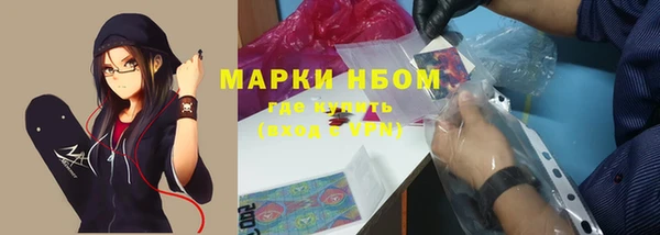 PSILOCYBIN Усинск