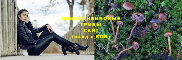 каннабис Усмань