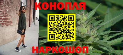 шишки Канаш