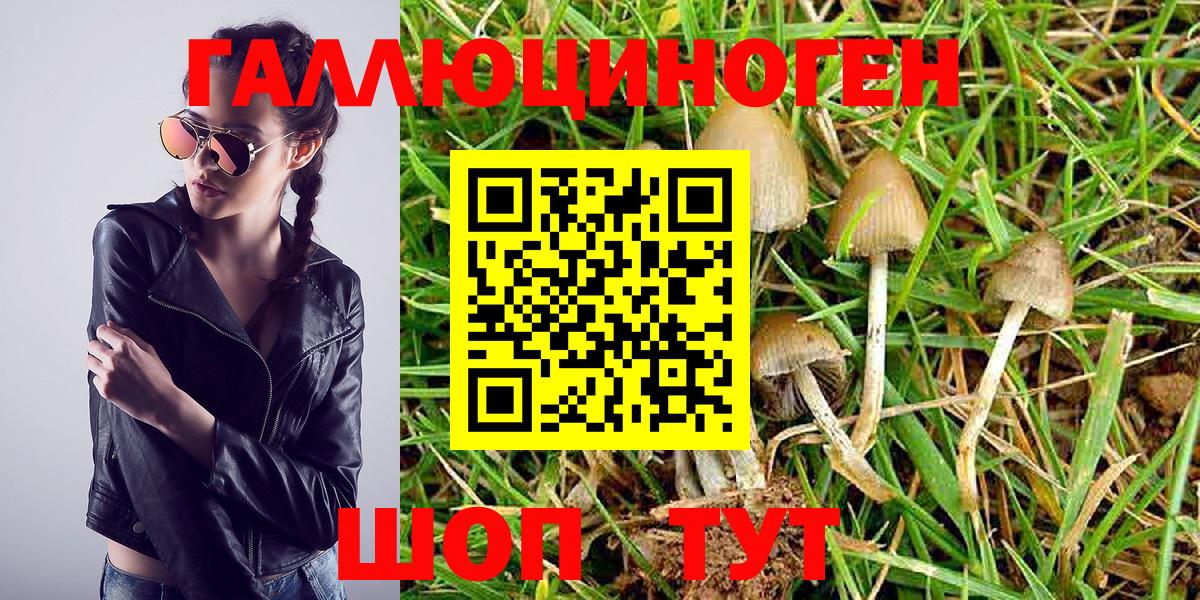 Псков  Галлюциногенные грибы MAGIC MUSHROOMS  Вход с VPN 